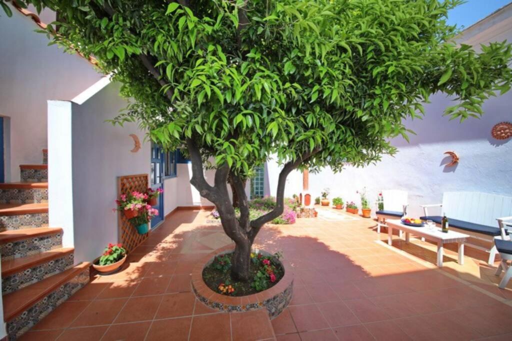 Philoxenia Guest House Skopelos Dış mekan fotoğraf